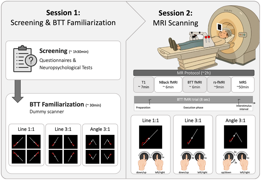 BOLD Variability Modulation Linked to Age-Specific Bimanual Performance