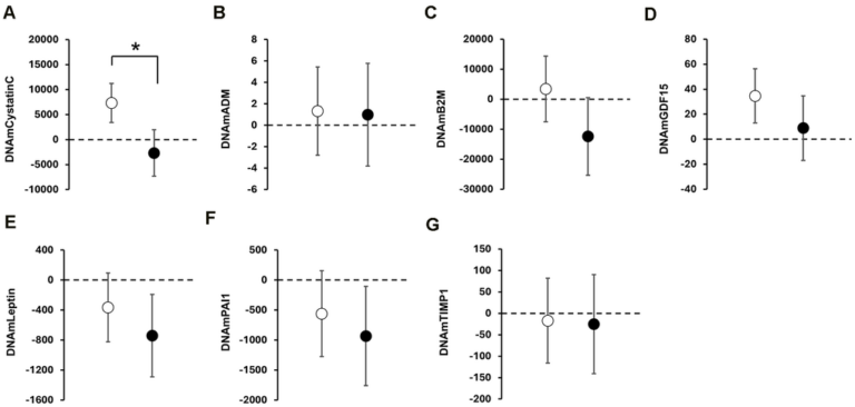 Lifestyle Intervention Linked to Slower Biological Aging Markers in Older Men