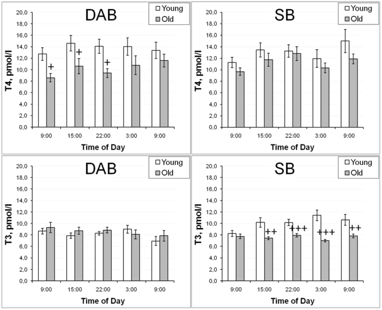Nonhuman Primate Research Reveals How Aging, Stress, and Behavior May Interact to Increase Disease Risk