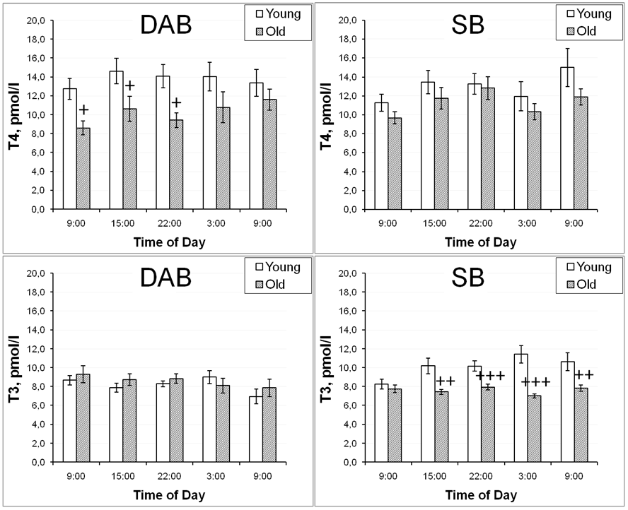 Nonhuman Primate Research Reveals How Aging, Stress, and Behavior May Interact to Increase Disease Risk