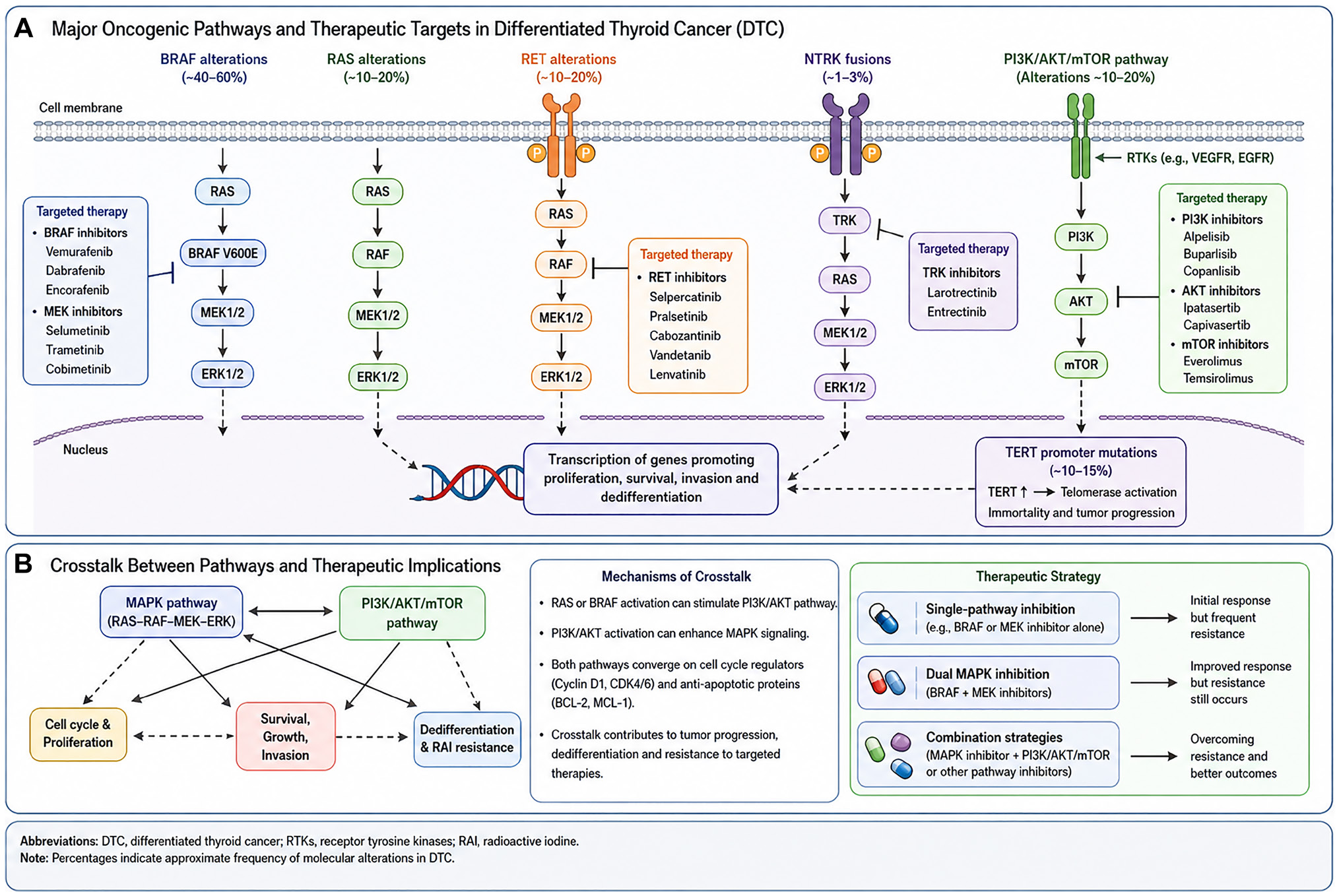 Two Cancer Signaling Pathways Are Shaping More Personalized Treatment for Papillary Thyroid Cancer