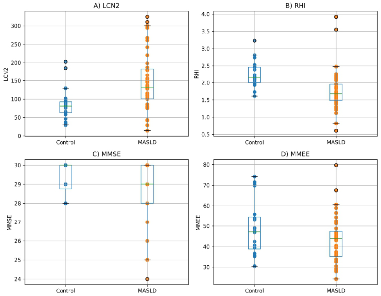Fatty Liver Disease Linked to Early Cardiovascular and Cognitive Changes
