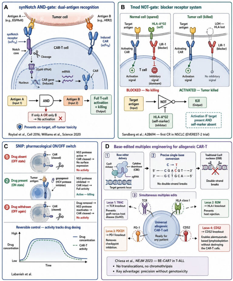 New CAR-T Engineering Strategies Target the Barriers of Solid Tumors